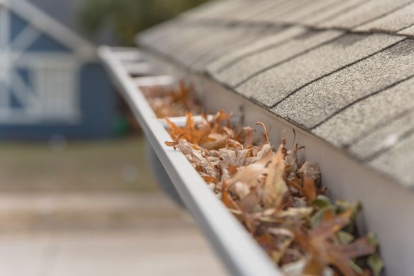 Leaf Barrier Installation in Cleveland
